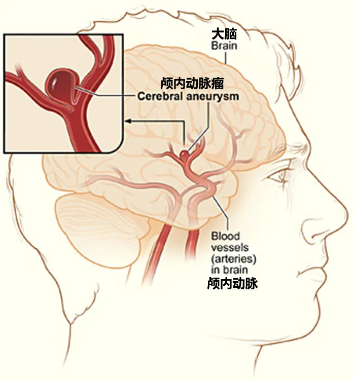 微信图片_20210407160334.png